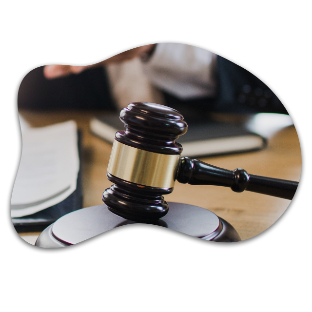 https://www.chacachas.com/wp-content/uploads/2023/12/Initiation-of-Legal-Action.png