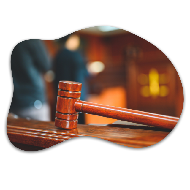 https://www.chacachas.com/wp-content/uploads/2023/12/Pre-Trial-Ruling.png