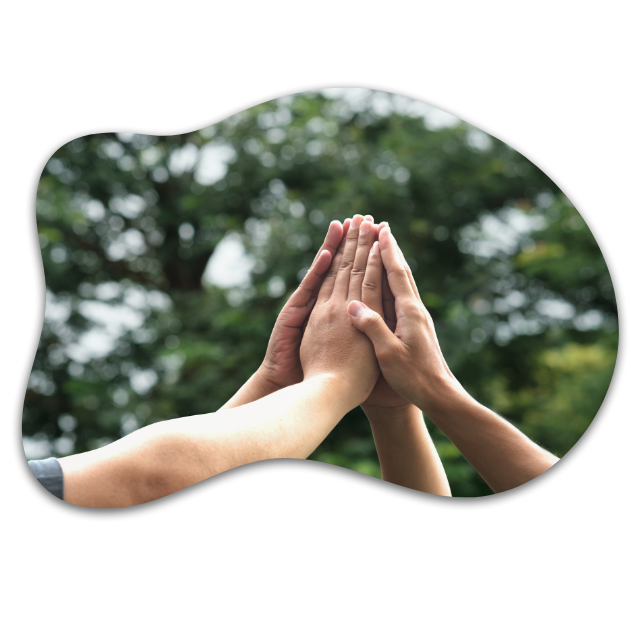 https://www.chacachas.com/wp-content/uploads/2024/01/Social-Development.png